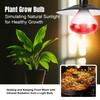 Zenhagu 250W R40 Red Heat Lamp Bulbs (4-Pack), Infrared Heat