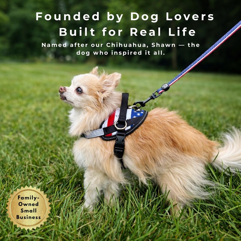 ShawnCo Essential Dog Harness, No-Pull Pet Vest with 3 Leash