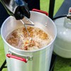 Creole Feast TFK-TG-3001 30 Turkey and 10 Qt. Fish Fryer