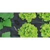 Garden - 50 x Weedproof Fabric Anchors and Nails -