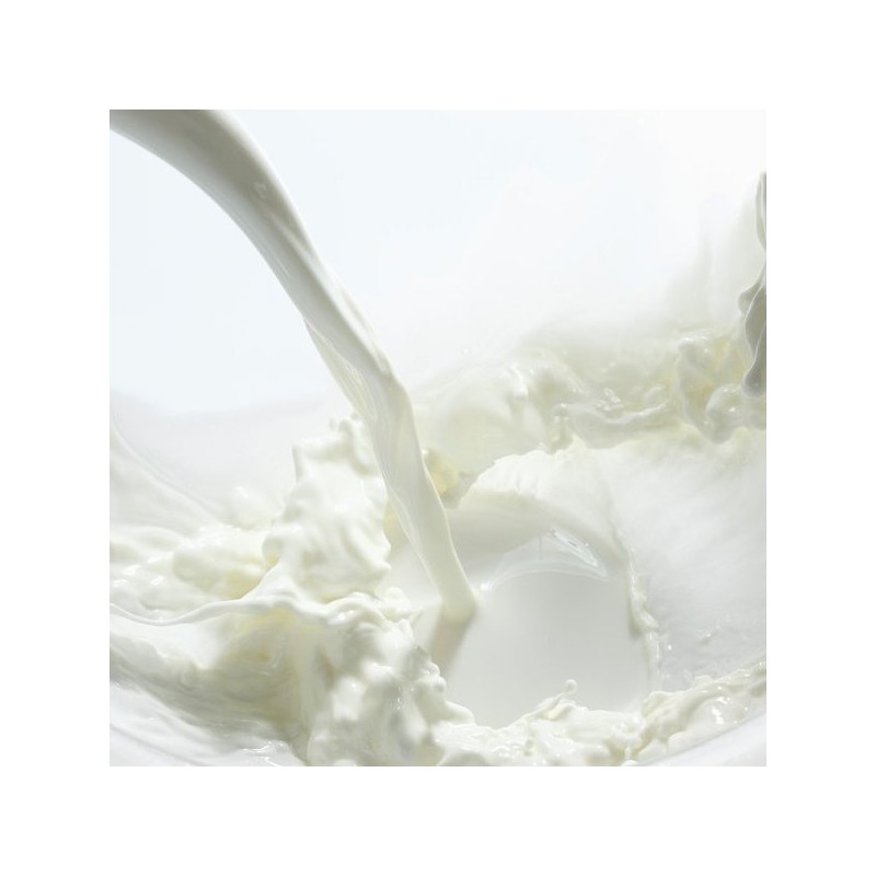 락토페린 프로밸런스 60정 5통 Lactoferrin Pro Balance 60 Tablets 5