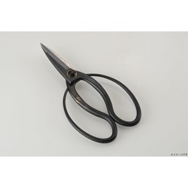Takagi Kikudo Long Blade Okyuho Shears, Steel Included, 7.9 inches (200 mm), For Plants, Pots, Branches, Flower Cutters, Long Blades, Leaves Cutter, Uses Hitachi Yasui Steel Blue Paper, Blade Sharpening Service, Made in Japan Takagi