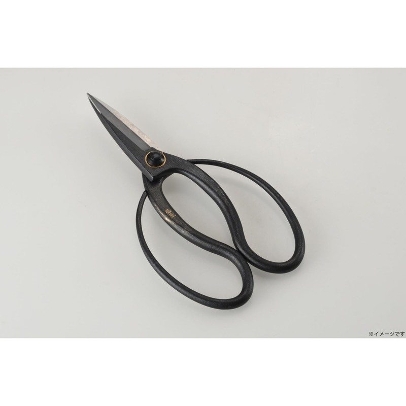 Takagi Kikudo Long Blade Okyuho Shears, Steel Included, 7.9 inches