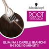 Ritocco Ricrescita Permanente Haarfarbe, dunkles Kastanienbraun