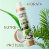 Shampoo de Coco - Hidratante, Nutritivo, Suaviza, Repara, aporta Brillo