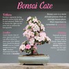 BambooMN Brand - Folding Bonsai, Garden & Ikebana Saw -