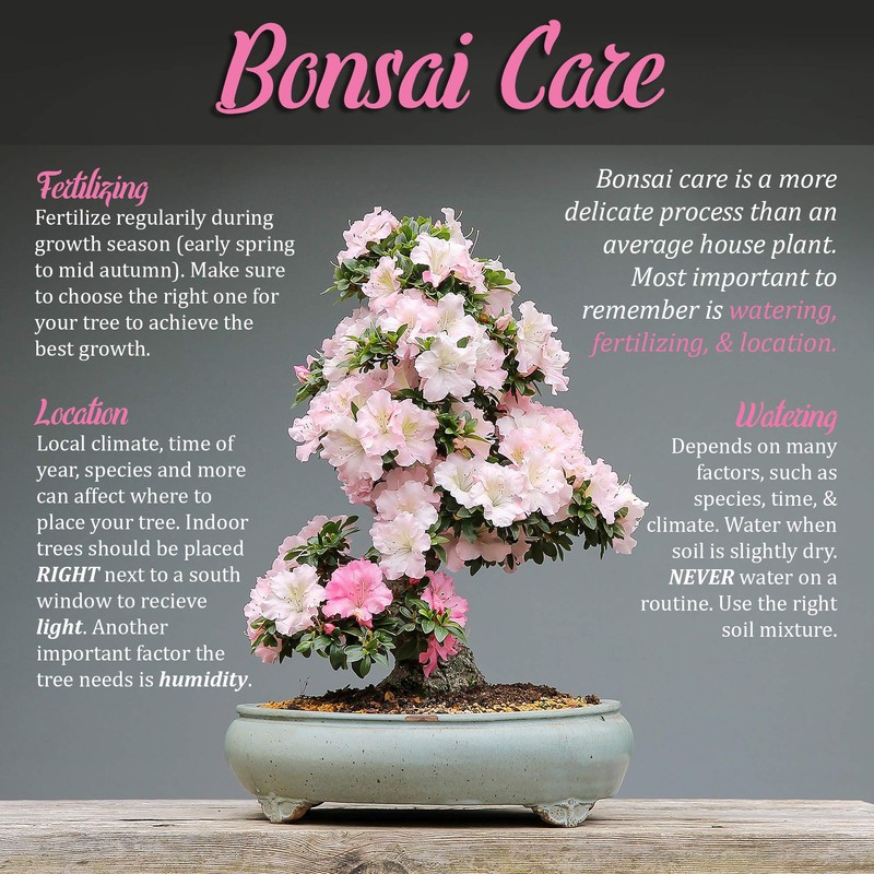 BambooMN Brand - Folding Bonsai, Garden & Ikebana Saw -