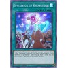 Yu-Gi-Oh! - Spellbook of Knowledge - INCH-EN059 - Super Rare - 1st Edition - Infinity Chasers