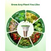 RAINPOINT 69-Piece Hydroponic Seed Pod Kit - Compatible Growing System