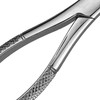 Dental Extracting Forceps Heavy Duty Universal Style German Grade Stainless