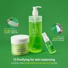 Erti 13 Purifying Toner for Skin Balancing 480ml + Pad