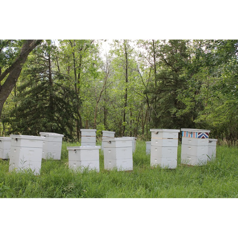 Pure Royal Jelly 5 oz Jar (142 Grams of Pure