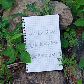 WRENBEN 2PCS Waterproof Spiral Notebooks (4.8"x7", Orange)