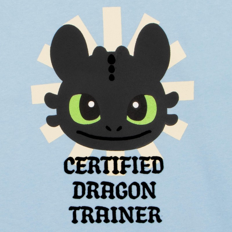 How To Train Your Dragon Girls' Toothless Sweatshirt, Cotton Children's