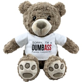 I’m Sorry Teddy Bear 10” Sitting | I Love You Im Sorry Plushie | Im Sorry Gifts for Her Stuffed Animal