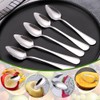 EXIN DEHCEN Kiwi Spoon, Grapefruit Spoon, 16 cm, Stainless Steel