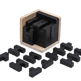 Wooden Brain Teaser Puzzle Skills Builder Shape Pieces Educational Toy for Kids and Adults (Black T and H Shape)