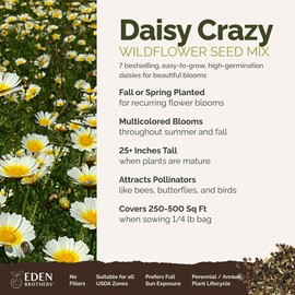 Eden Brothers Daisy Crazy Flower Mixed Seeds for Planting, 1/4 lb, 120,000+ Seeds with Creeping, Painted, Yellow Daisy | Attracts Pollinators, Plant in Spring or Fall, Zones 3, 4, 5, 6, 7, 8, 9, 10