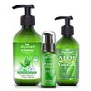 Gel de aloe vera