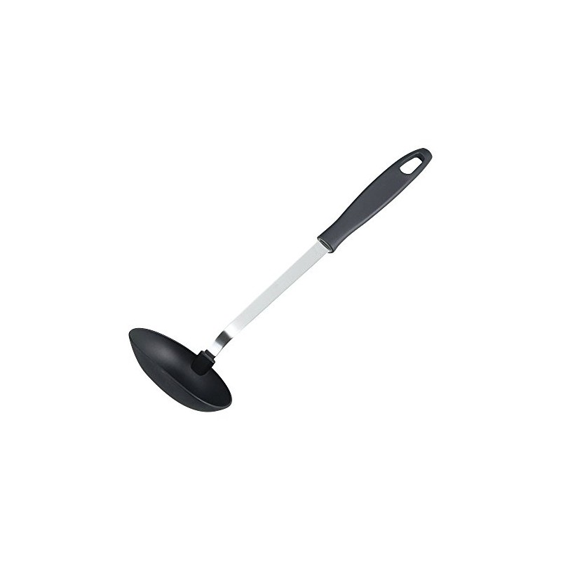 Wahei Freiz RE-6736 Nylon Ladle, Dishwasher Safe, Pant Tool, Made