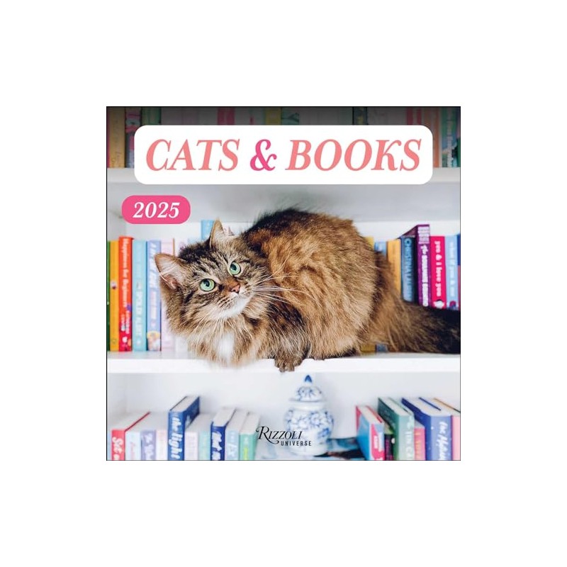 Cats & Books 2025 Wall Calendar