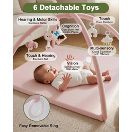 TINYHARBO Baby Play Gym with Soft Foam Mat – Velvet Tummy Time Mat 34"x34", Sensory Baby Activity Mat for Infant Development, Machine Washable & Non-Slip, 6 Toys with Mirror, Crinkle Book & Rattle