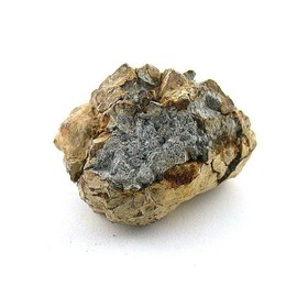 1 7/10 x 1 1/2 Inch Limonite On Pyrite Nodule Michigan Specimen CS45