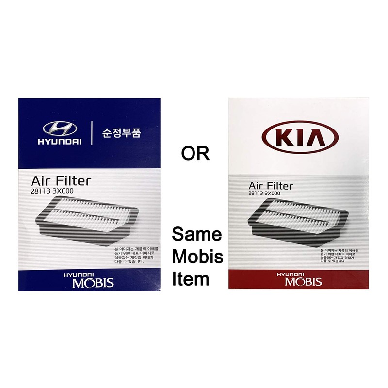 HYUNDAI Genuine (28113-3X000) Air Filter