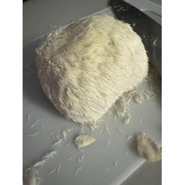 Freeze-Dried Lion's Mane Mushroom 25 year Shelf-life. Great for tea or powder. Can be rehydrated and cooked or used as a herbal suppliment. Made in U.S.A. Excellent for Stamets Stack.