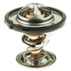 Thermostat-160 Degrees w/Seal