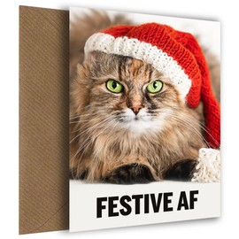 Funny Cat Christmas Card for Cat Mum or Dad! Festive AF Cat Xmas Card as a Funny Cat Card or Christmas card From the Cat!
