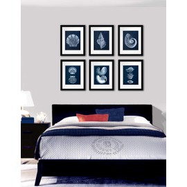 Gnosis Picture Archive Navy Blue Beach Decor Seashells Wall Art set of 6 Unframed Prints
