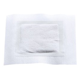 Bamboo Plasters with Ginger - Pack of 10