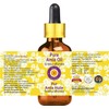 Deve Herbes Pure Amla Oil (Emblica officinalis) with Glass Dropper