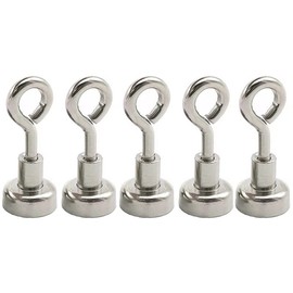 5 x Fishing Magnets, Strong Neodymium Rare Earth Magnets for Removing River Magnets Recovery Rescue Fish D-12mm