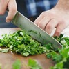Back to The Roots 100% Organic Seed Packet - Parsley