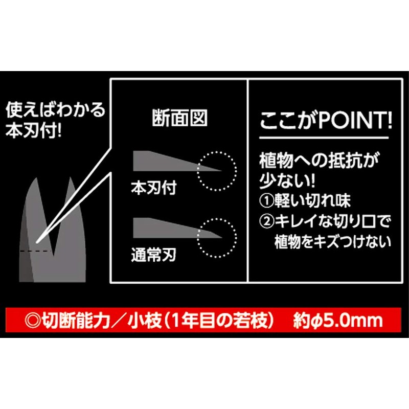 TAKAGI Stainless Steel Long Reach Bud Cutting Shears with Main