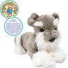 TigerHart Siegfried The Schnauzer - 13 Inch Stuffed Animal Plush