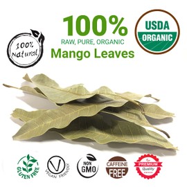 2.6oz Mango Leaves, Hojas De Mango Entera, All Natural Dried Mango Leaves, Loose Leaf Mango Fresh Tea, Organic Mango Leaf Tea, Caffeine free, Non-GMO. Pack Of 1.