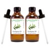 2 Bottles - Eucalyptus Essential Oil - 4 fl oz