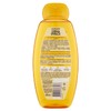 Garnier Ultra Dolce Camomilla and Honey Shampoo for Light Hair,