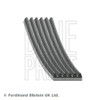 Blue Print AD06R1245 V-Ribbed Belt 6 Rib Count