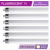 KOR 6 Pack F8T5 WW 30K Tube 12" Inches 8W