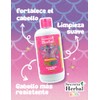 Shampoo Pony Secreto Herbal Línea Kids Cola de Caballo y