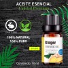 UVa Natural Aceite Esencial De Jengibre 100% Natural Puro Uva