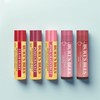 Burt's Bees Lovely Lip Balm Set, 5 types of lip balms, 1 piece / 버츠비 러블리 립밤 세트, 립밤 5종, 1개