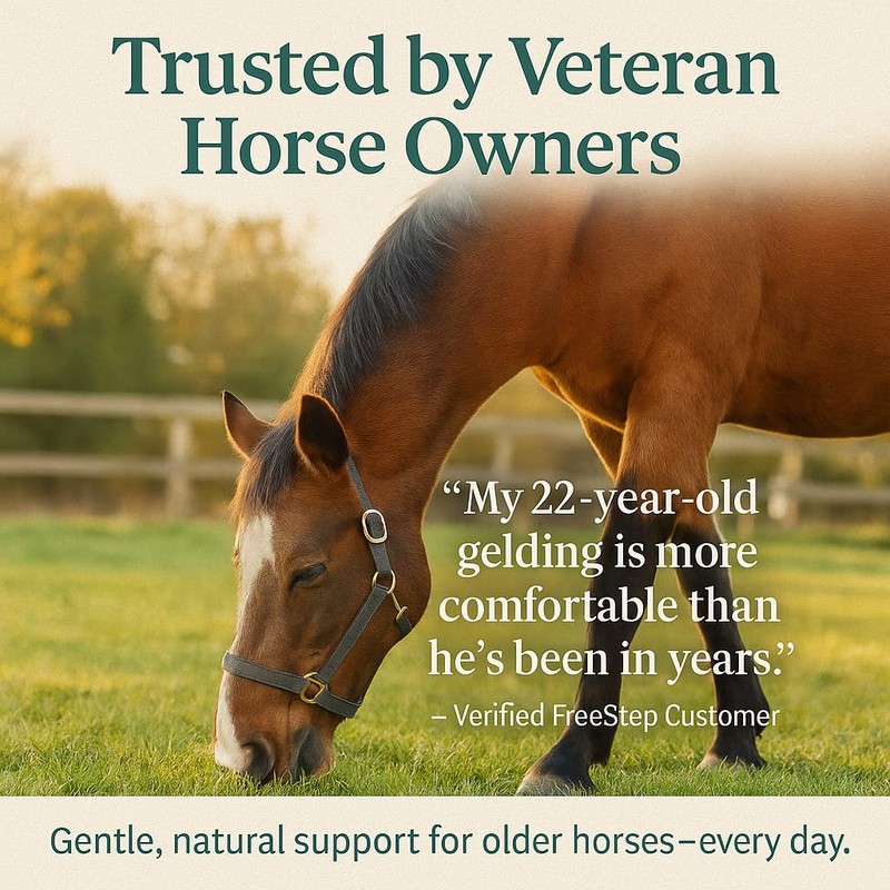 Freestep Original – Fast-Acting No Bute Laminitis Support for Horses