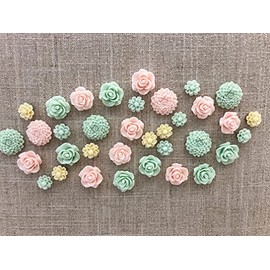 24Pcs Decorative Pushpins,Cork Board Tacks,Bulletin Board Tacks,Thumb Tack Decorative for CorkBoard, Office Organization or Home