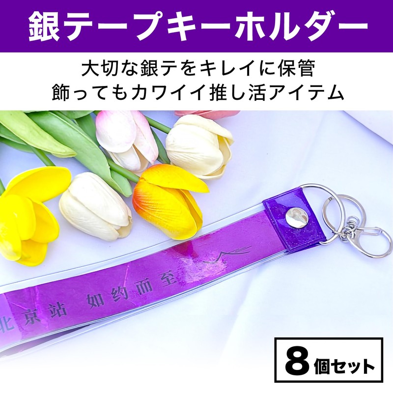 HAMILO Silver Tape Holder Pain Bag Keychain Concert Live Set