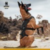 OneTigris Escape Proof Dog Harness, No Pull Dog Harness with